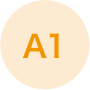 A1