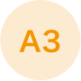 A3