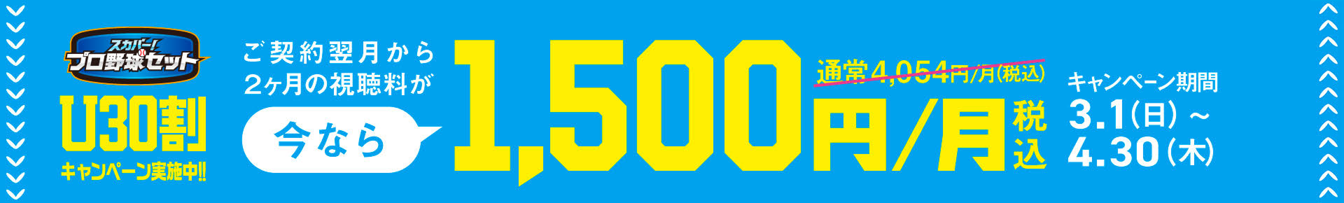 スカパー!プロ野球セット U30初めて割キャンペーン