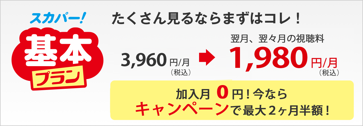 たくさん見るならまずはコレ！基本プラン