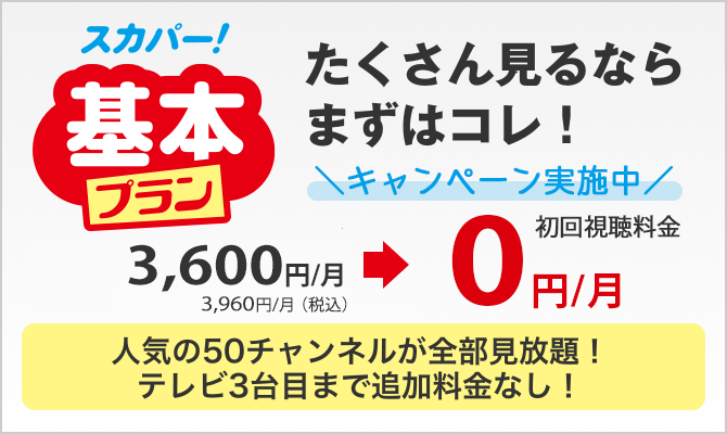たくさん見るならまずはコレ！基本プラン