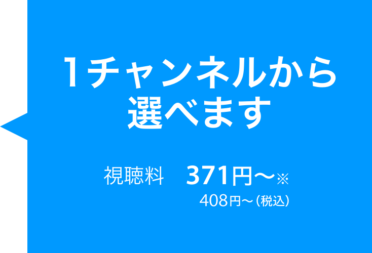 1チャンネルから選べます 視聴料 371円〜※ 408円〜（税込）