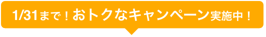 1/31まで！おトクなキャンペーン実施中！