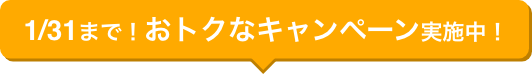 1/31まで！おトクなキャンペーン実施中！