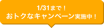 1/31まで！おトクなキャンペーン実施中！