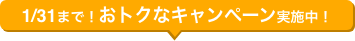 1/31まで！おトクなキャンペーン実施中！