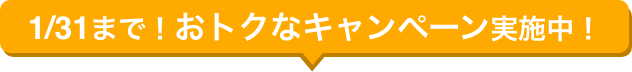 1/31まで！おトクなキャンペーン実施中！