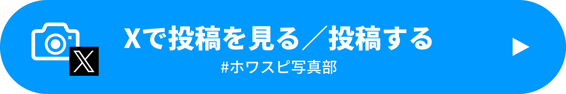 Xで投稿を見る／投稿する #ホワスピ写真部